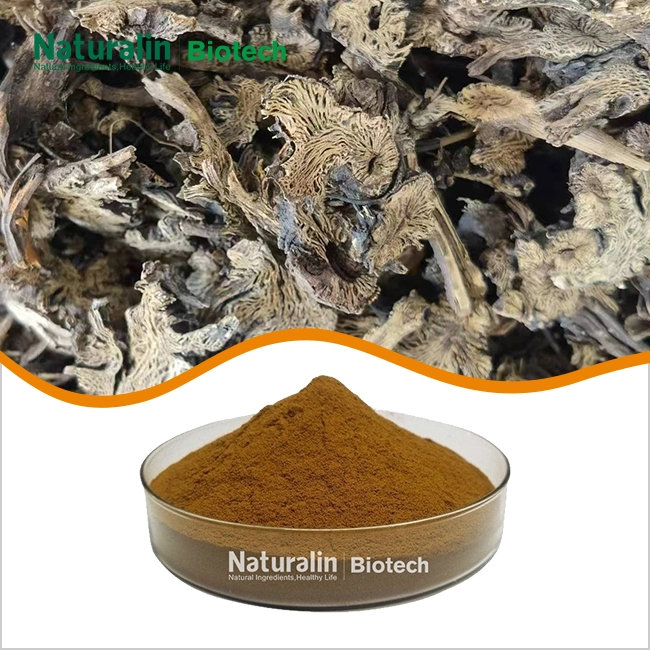 Cohosh Extract Powder